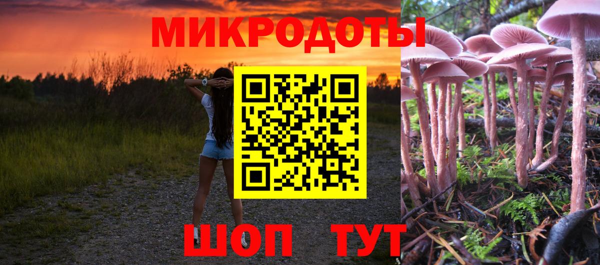 Псилоцибиновые грибы мухоморы Искитим