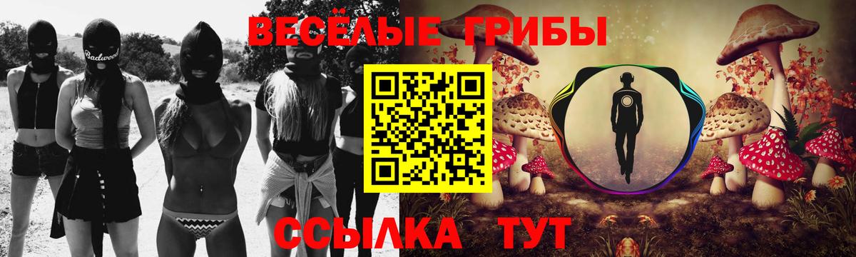 Псилоцибиновые грибы мухоморы Искитим